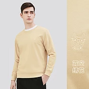 佳燦男裝秋季新款純色套頭衛(wèi)衣男韓版寬松長(zhǎng)袖上衣潮流男裝